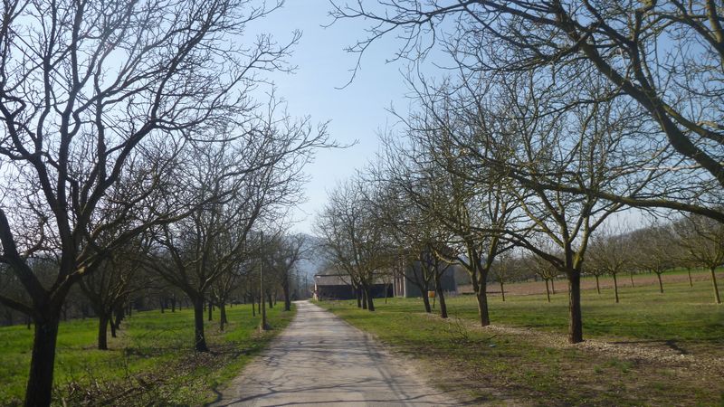 La Noyeraie