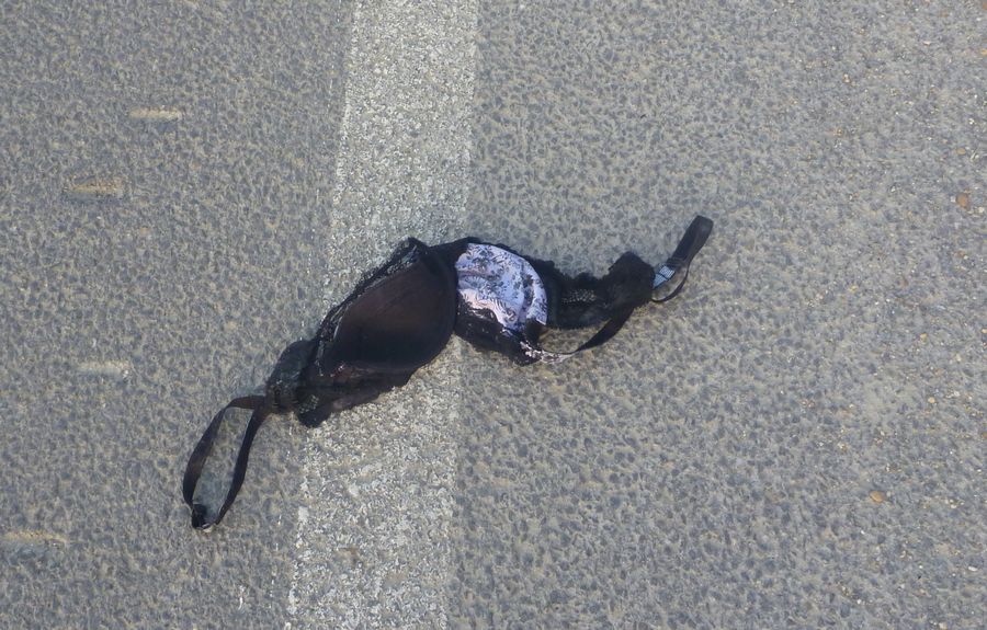 Est ce une vacje camarguaise qui ta prcipitement son soutien-gorge ?