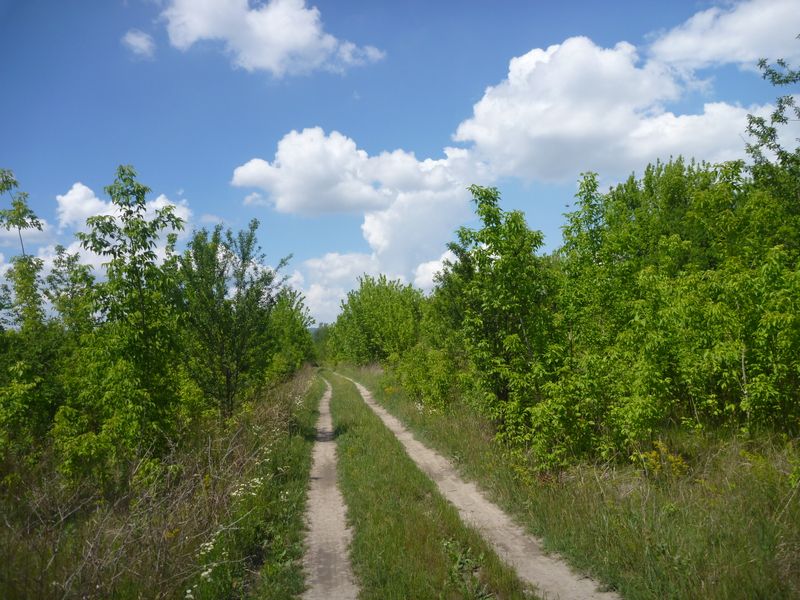 Piste cyclable se perdant dans la pampa en Hongrie sur l'euro vlo 6