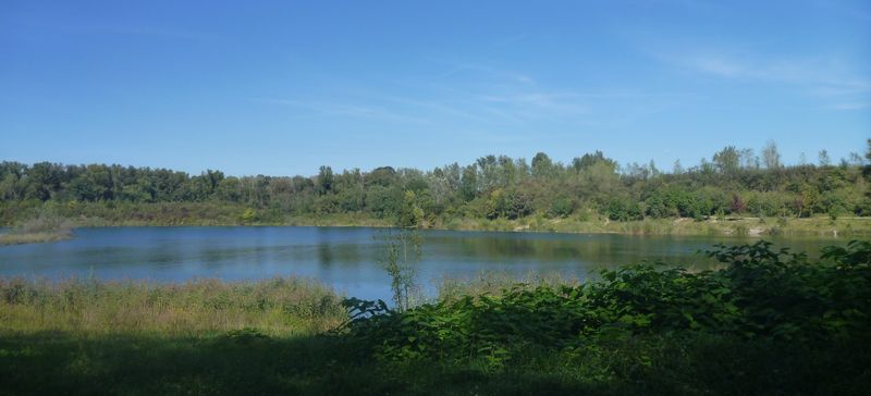 Etang du grand Parc