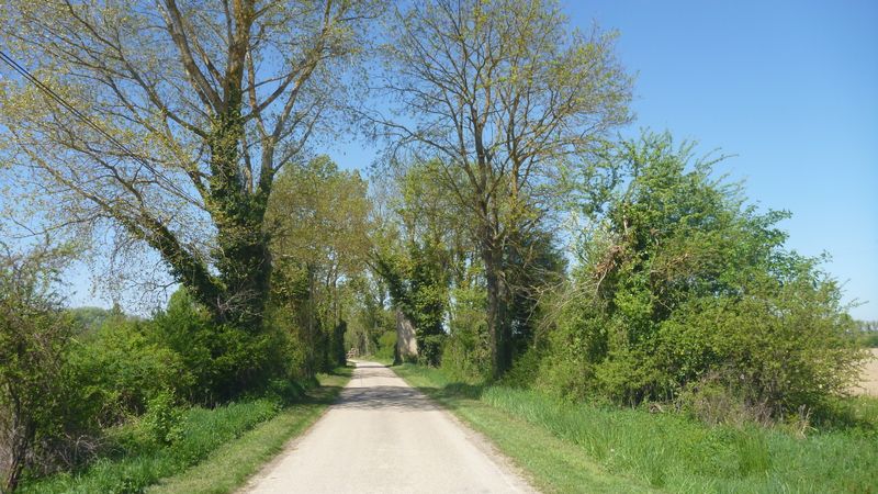 De Pollet à Jonage : Route tranquille ..