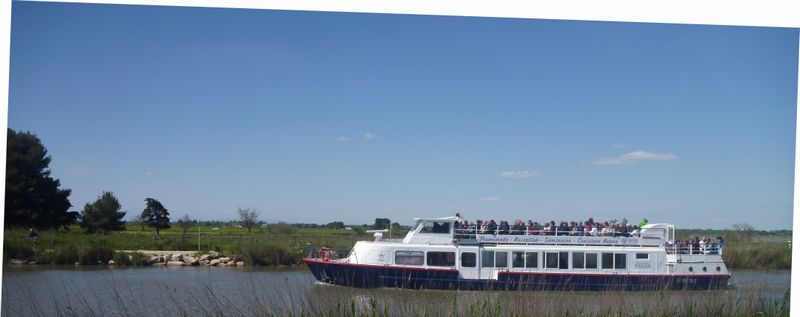Promène couillons en 2015 sur le canal, de Aigues Mortes au Grau du Roi