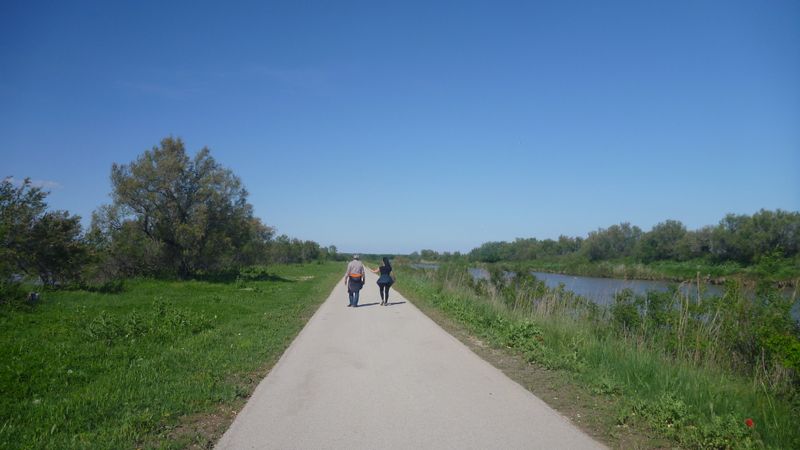 Les piétons, piétinent sur ViaRhôna entre Aigues Mortes et Gallician d'où : Drolin Drolin
