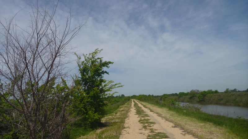 Herbes folles sur ViaRhôna entre Port saint Louis et Arles : Le Bidim ? 