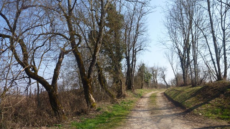 Nous tentons d'explorer le parcours de ViaRhôna