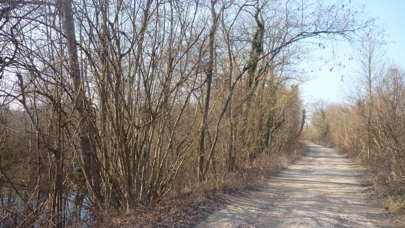 Le long des étangs de Passins à la poursuite de ViaRhôna en 2015