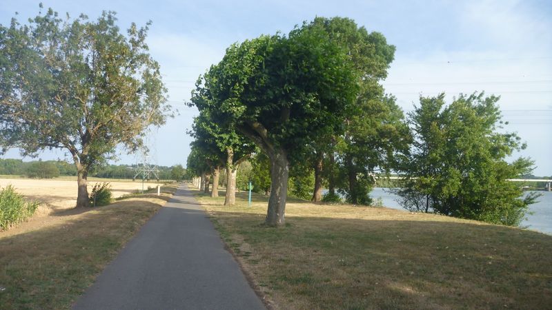 le Halage de la Saône est goudronné .. parfois
