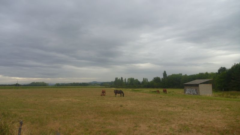 L'orage qui gronde, apportera t il la pluie bienfaitrice en plaine du Forez en juillet 2015 ?