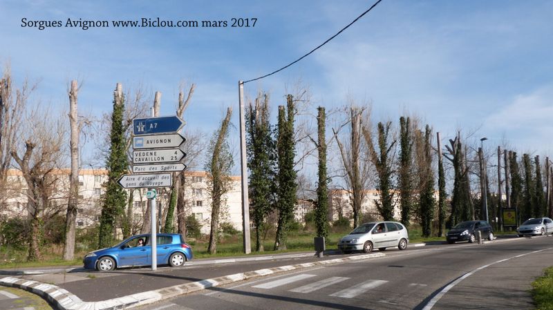 ViaRhôna Sorgues en route vers Avignon essai mars 2017