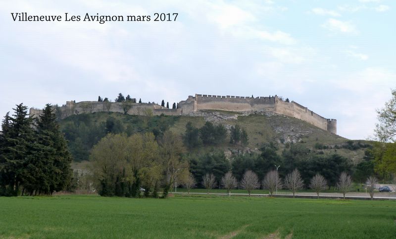 Fort saint André , Villeneuve Les Avignon vu en mars 2017