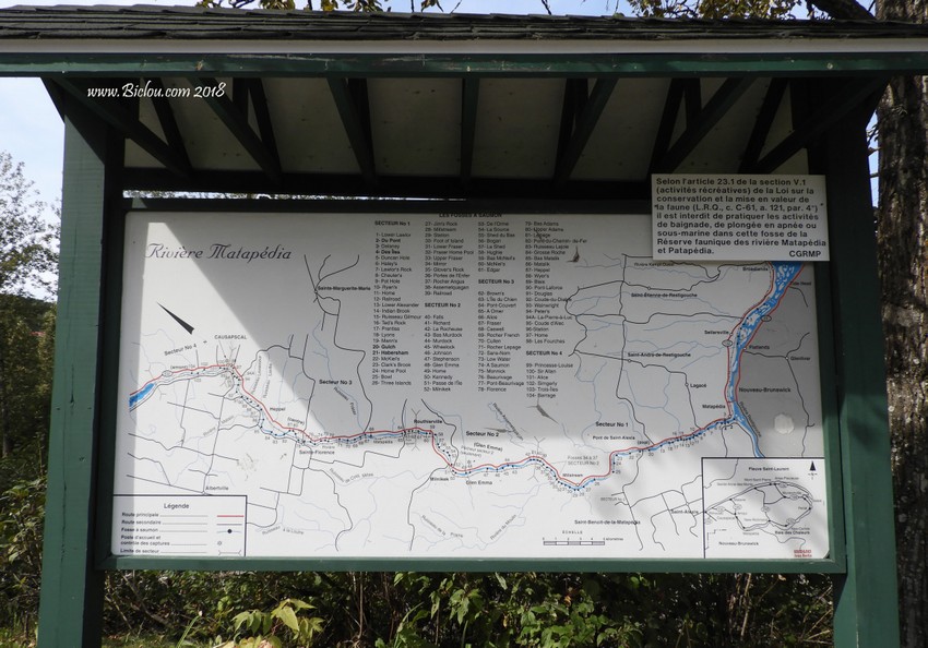 Plan de la rivière à Saumon : Matapédia