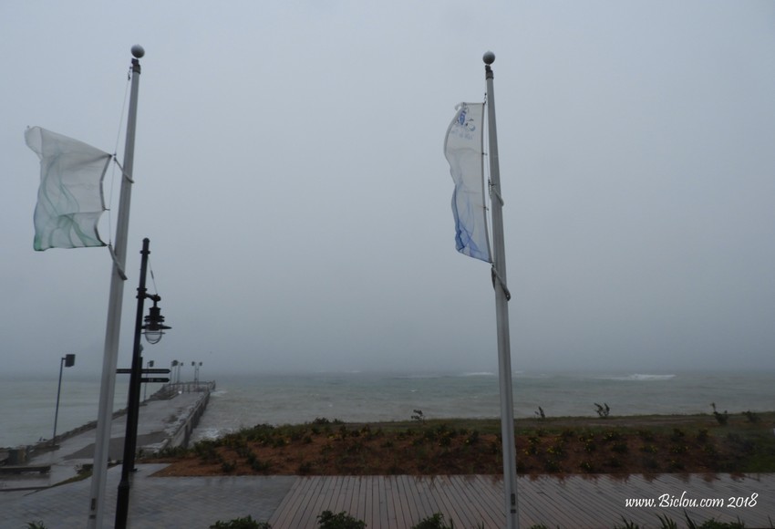 Tira vento, à Percé .. Balade en Bâteau tombe à l'eau .. 