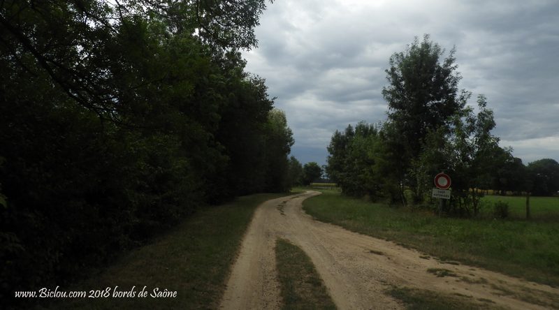 Chemin de halage des bords de Saône entre Chalon et Tournus