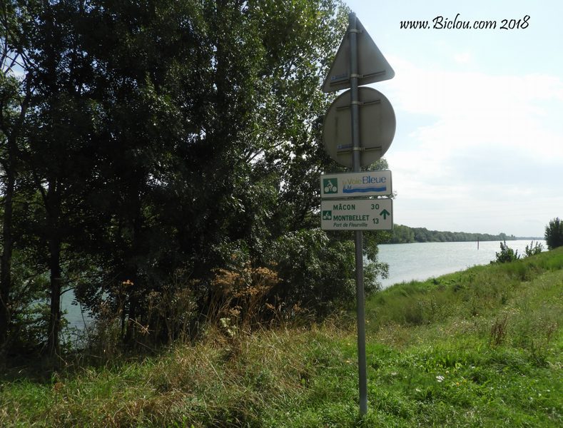 La voie verte des bords de Saône de Tournus à Mâcon en 2018