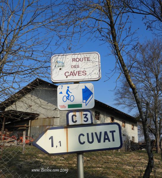 Cuvat route des caves