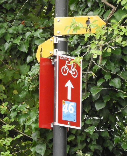 On retrouve le Balisage 46 du Tour du Léman , alors absent côté français ..
