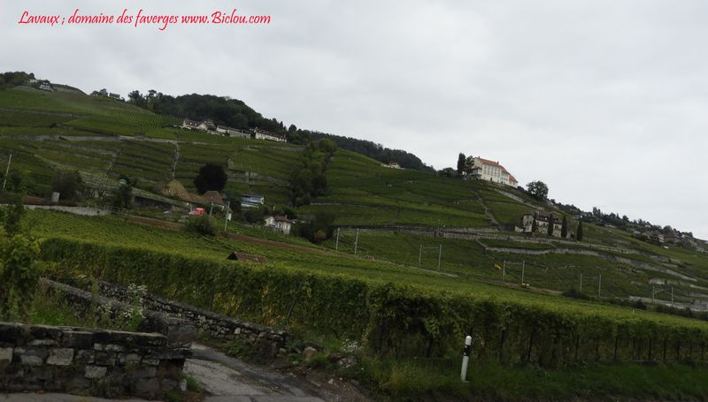 Lavaux domaine des Faverges