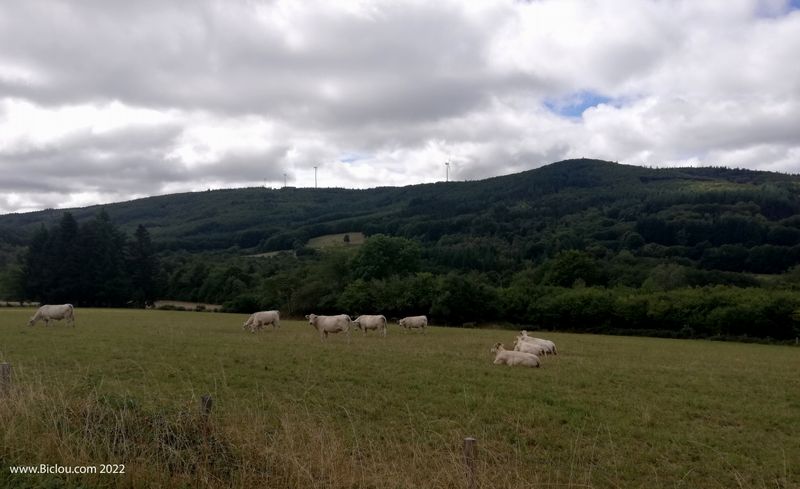 Les Monts de la Madeleine