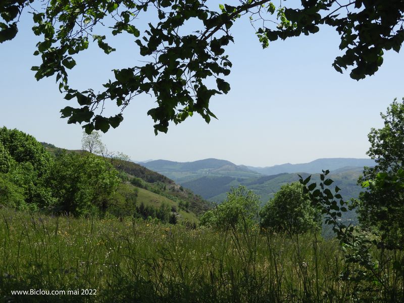 Paysage des Cévennes