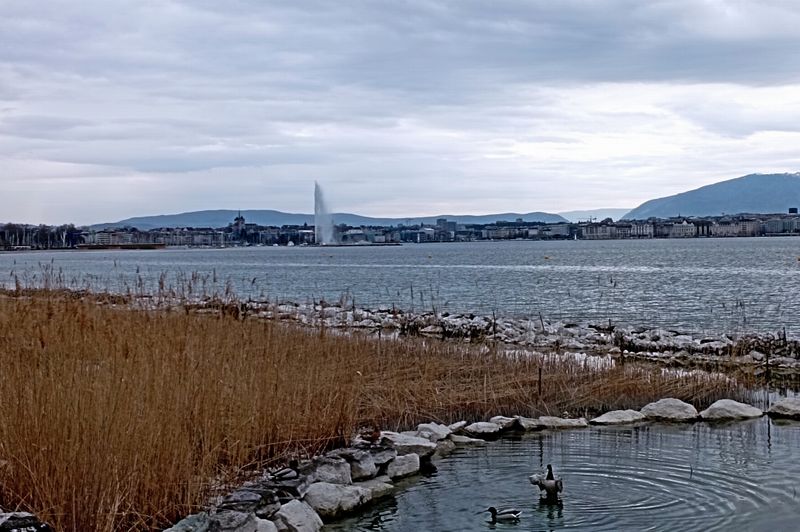 Genève, mars 2023