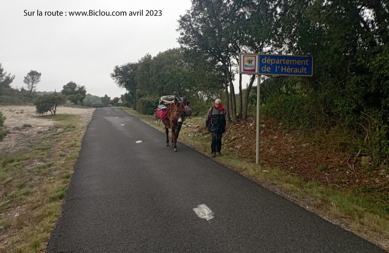 Randonneur avec un âne