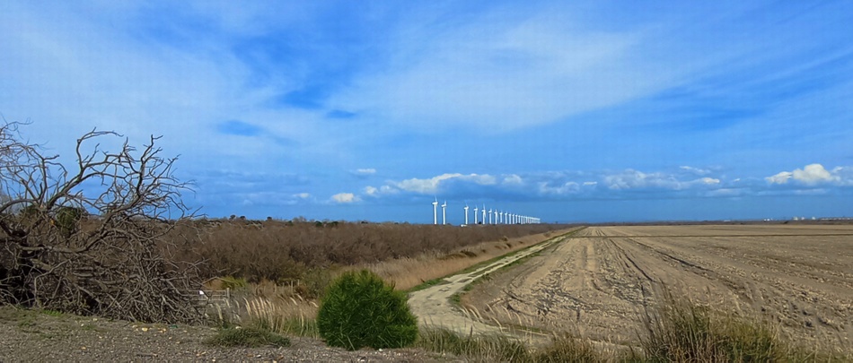 Les éoliennes de Port saint Louis