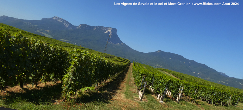 vignoble-savoie-vue-granier