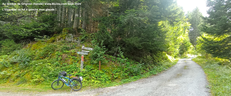 foret-de-rhonne-route-forestiere-bifurcation-ebaudiaz