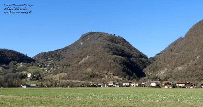 Vesonne-faverges-pied-col-Forclaz