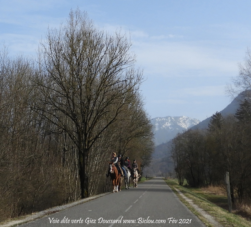 on-a-les-chiens-et-apresent-les-chevaux-sur-voie-verte