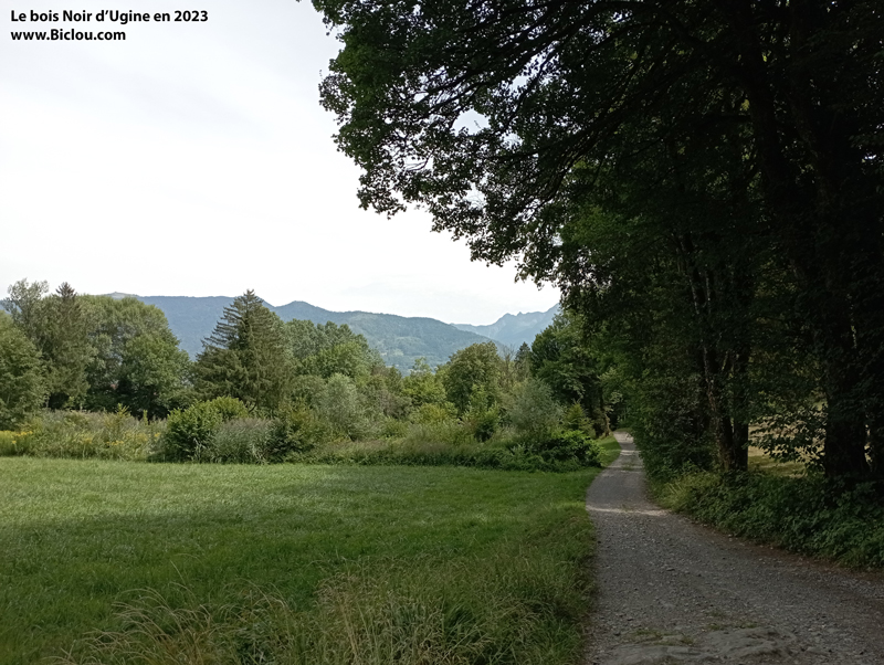 Gravel-dans-Le-Bois-Noir-d-Ugine