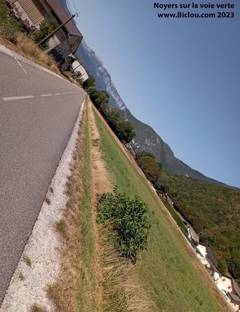 Pousses-de-Npyers-sur-Voie-verte-Annecy-Favergetitle=Pousses-de-Npyers-sur-Voie-verte-Annecy-Faverge