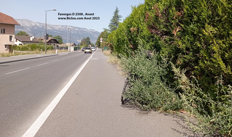 Broussaille-piste-cyclable-faverges-D-25...