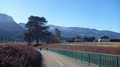 width=100