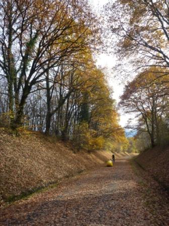 5-feuilles-2010-n-26.jpg