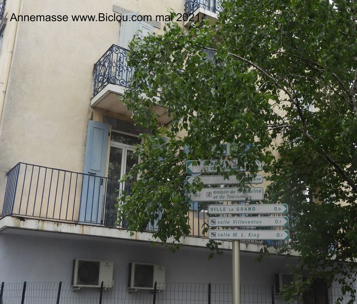 Annemasse : Beau balisage V 61, dommage qu'il soit caché ! faut juste tailler un peu l'arbre ..