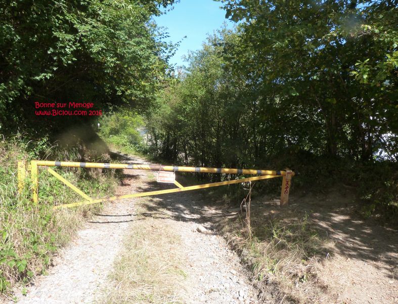 chemin menant à la Menoge à Bonne